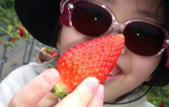 naoko and strawberry